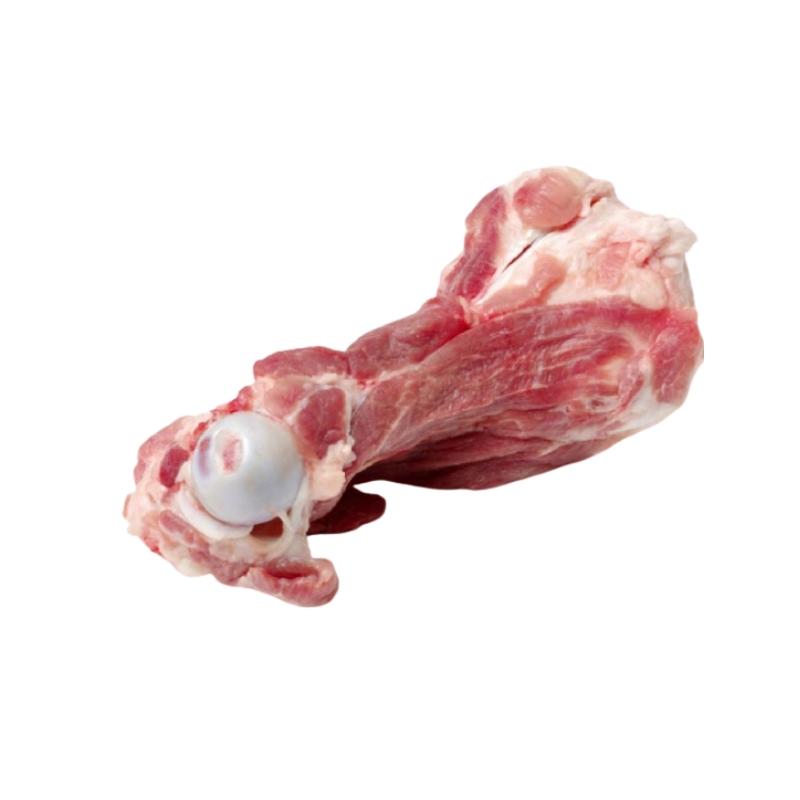 Xương ống